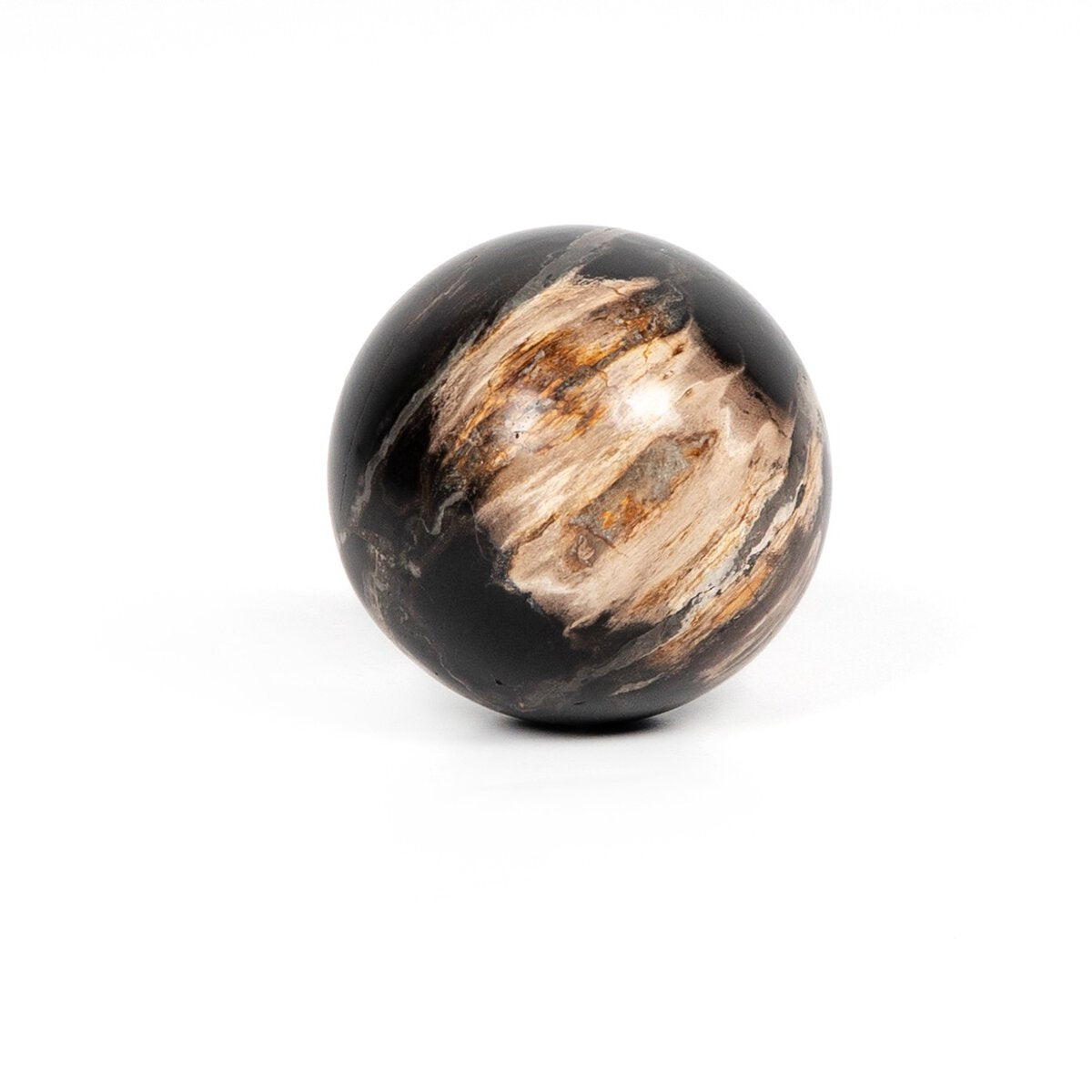 Petrified Wood Balls, Set Of 3