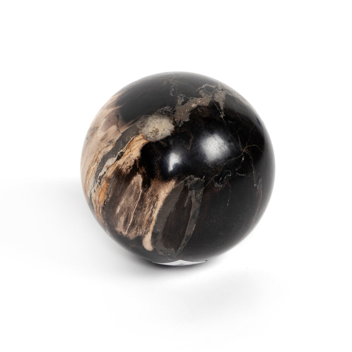 Petrified Wood Balls, Set Of 3