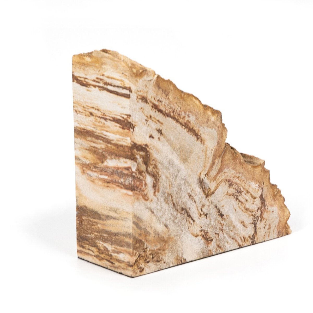 Petrified Wood Book Ends