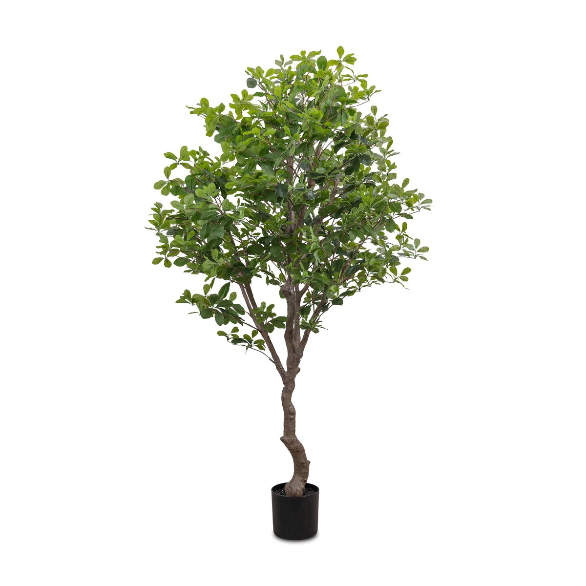 Faux Aralia Tree