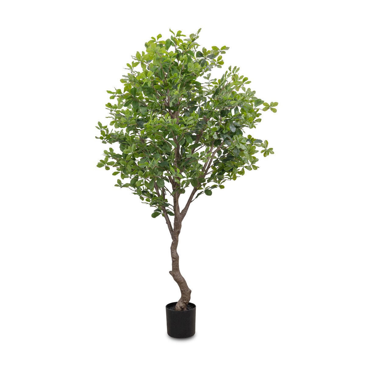 Faux Aralia Tree
