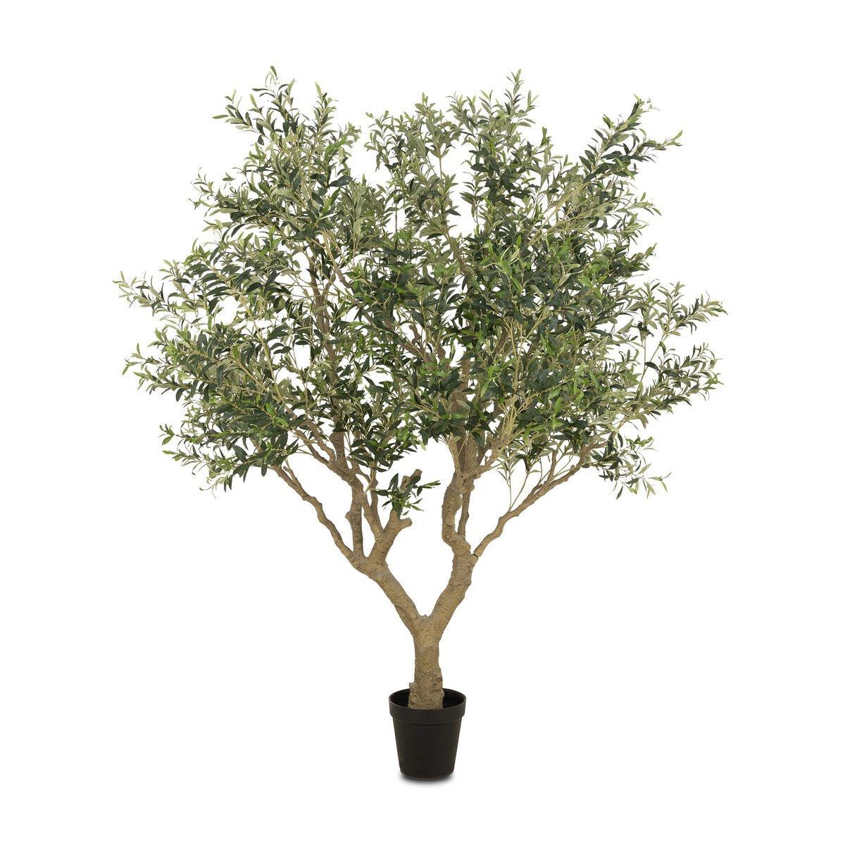 Faux Olive Tree Wide