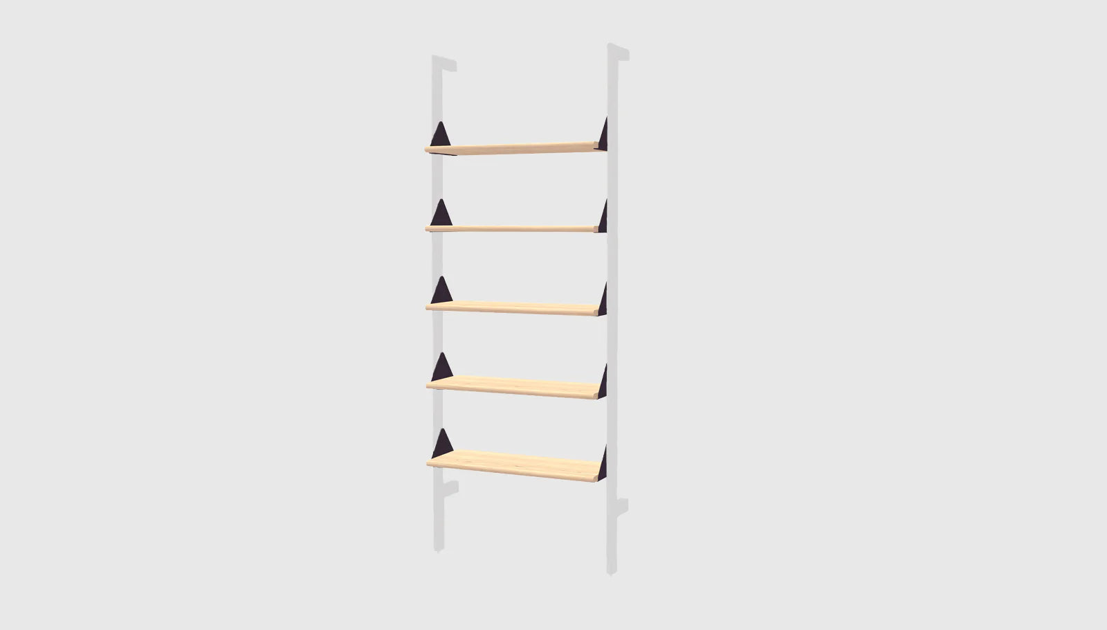 Branch Shelves 5 Pack