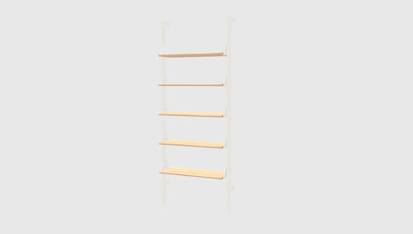 Branch Shelves 5 Pack