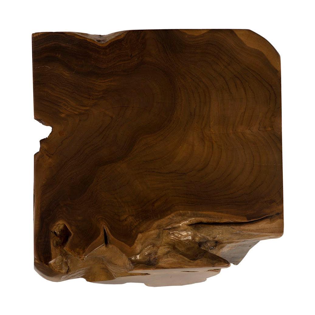 Phillips Collection FURNITURE - Teak Root Side Table