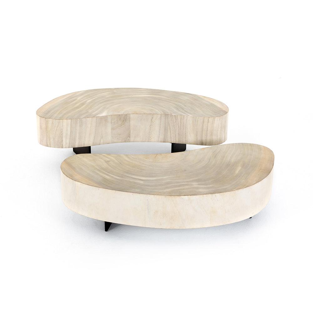Four Hands FURNITURE - Avett 2-Piece Coffee Table