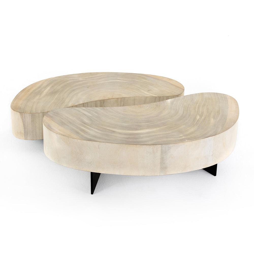 Four Hands FURNITURE - Avett 2-Piece Coffee Table