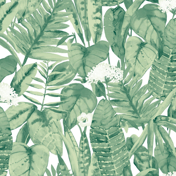 Tempaper Designs LIFESTYLE - Tropical Jungle Green Peel and Stick Wallpaper